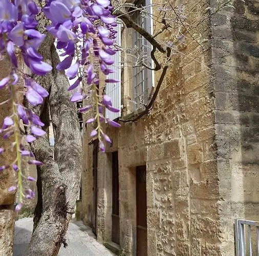 Le Rousseau Sarlat